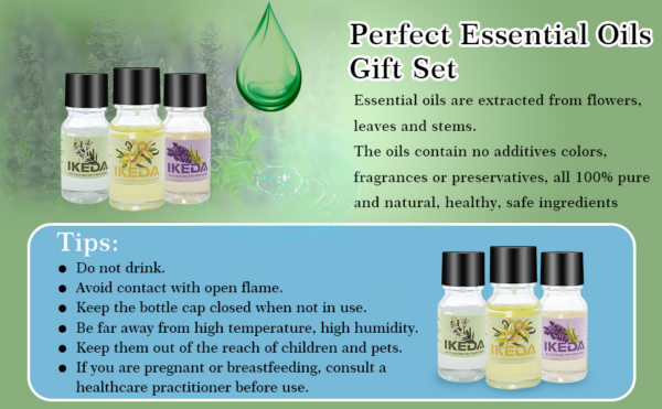 6-Pack Essential Oils Kit - Perfect for Diffusers, Massage & DIY Beauty - Image 3