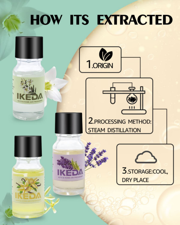 Organic Essential Oils for Diffuser - Calm, Focus & Refresh Your Space - Image 4