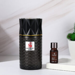 Wholesale Premium 100ml Aromatherapy Reed Diffuser - Long-Lasting Essential Oil Scent for Home & Office