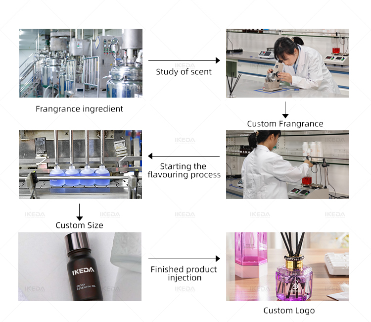 Reed Diffuser Complete Kit - Bottles, Reeds & Fragrance Oil Set