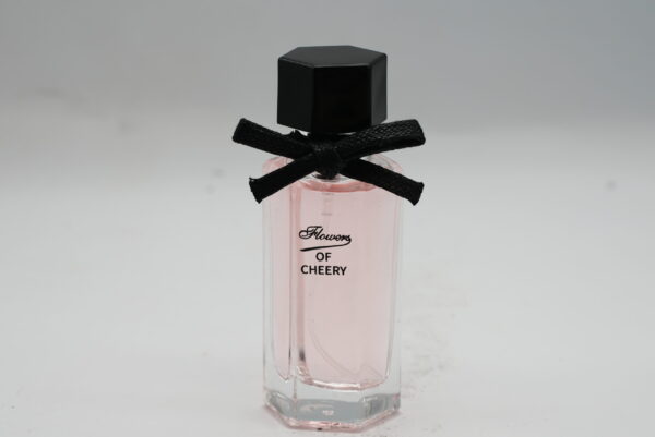 Premium Oil-Based Perfumes – Bulk Supply with Private Label Packaging Solutions