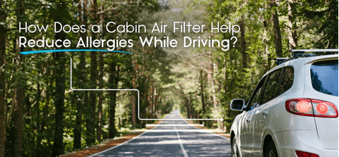 Best car air freshener types for wholesale importers