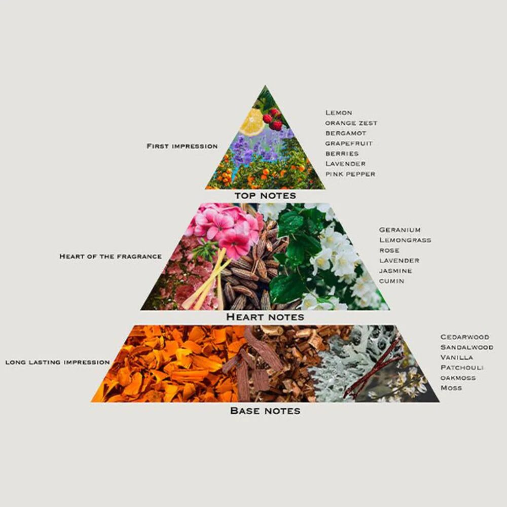 fragrance pyramid top middle base notes diagram