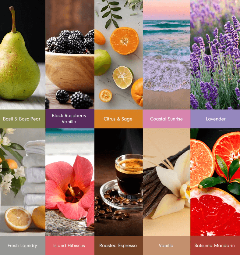 Top 10 Car Air Freshener Scents 2026