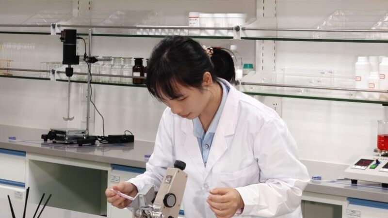 OEM Process Timeline